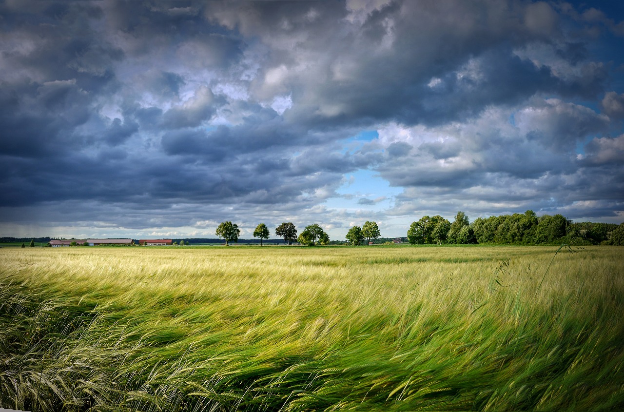 Narcistische-en-dominante-personen-bescherming-en-zelfzorg-Instagram-LinkedIn-Delft-Rotterdam-Mijnsheerenland-management-ondernemer-landschap