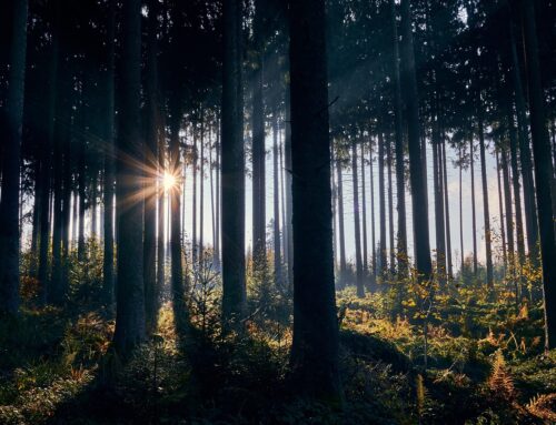 Zo herken je een bore-out: wanneer de verveling toeslaat op werk